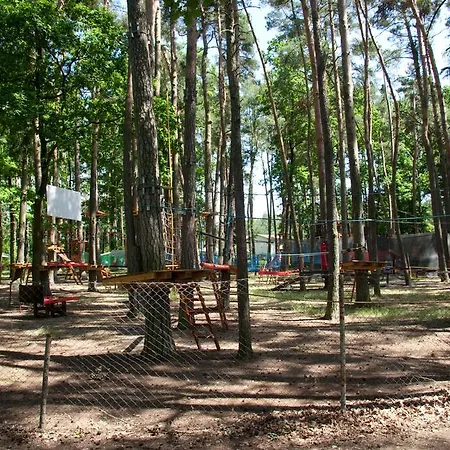 Stříbrňák Hradec Králové